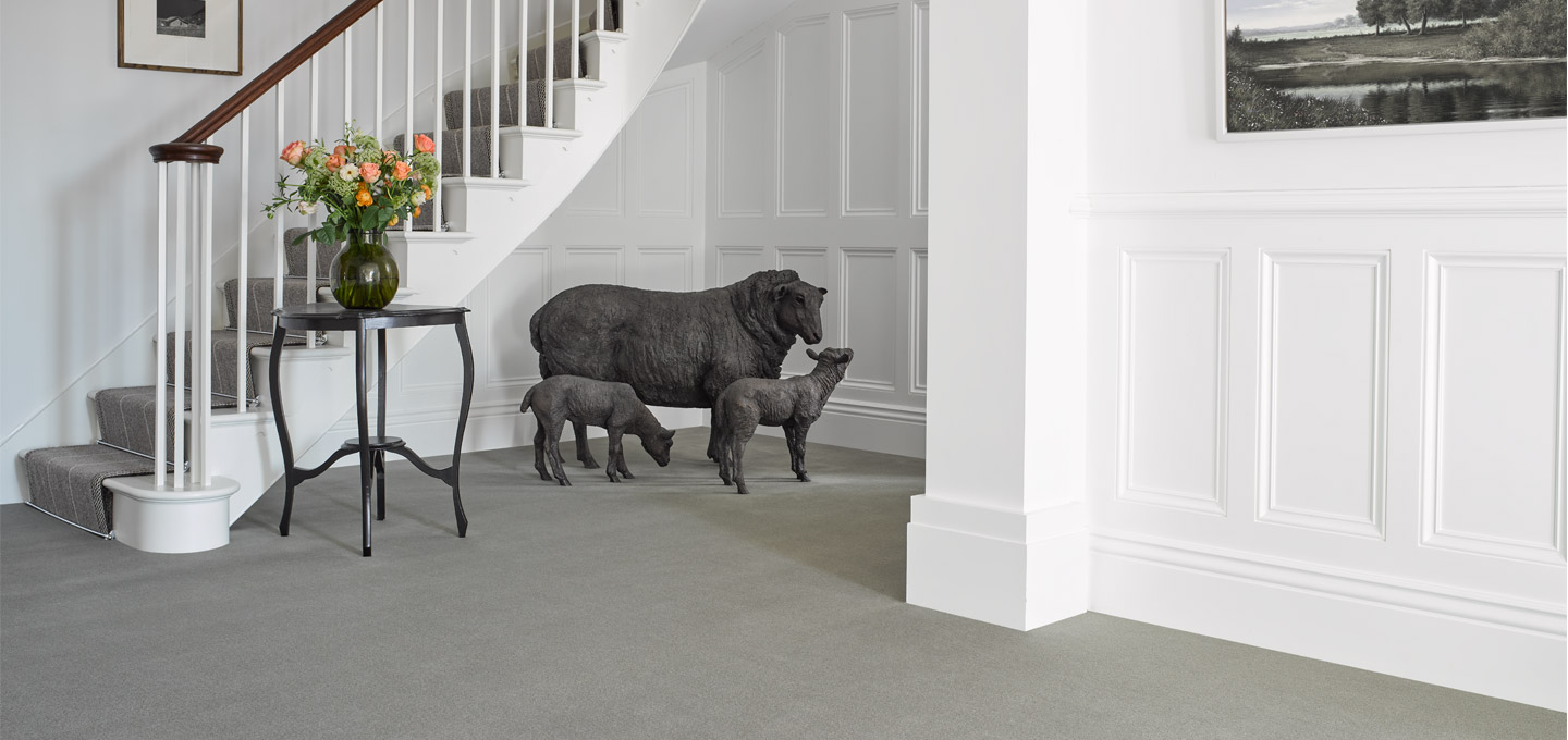 Sisal Carpets