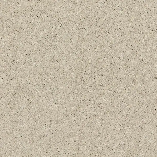 Cormar Riva in Aniseed